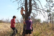 IMG_7492.JPG