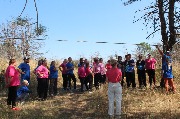IMG_7523.JPG