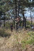 IMG_7491.JPG