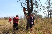IMG_7493.JPG